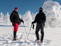 narciarstwo, porwnanie, ceny, tanio, wyjazd, narty, Wochy, Austria, lepiej, turystyka