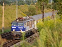 PKP Intercity, przewonik, TLK, pocigi, transport, Polskie Linie Kolejowe, straty, zyski, pasaerowie