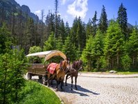 transport, Morskie Oko, turystyka, Tatry, grale, konie