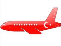 Turkish Airlines, wicej, tras, pocze, lotw, flota, w 2020 roku, dziaalno, efektywna, nieefektywna, CEO Temel Kotil, destynacje, samoloty