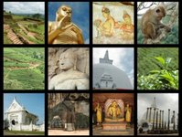 Sri Lanka, Shangri La, Four Seasons, Hyatt, Colombo City, East Coast, Race Course, Park Narodowy Wilpattu, rynek turystyczny Sri Lanki, przemysł Sri Lanki, turyści, gospodarka Sri Lanki, branża turystyczna Sri Lanki, atrakcje turystyczne Sri Lanki