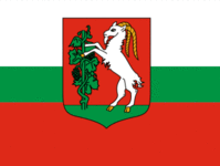 Flaga Lublina. Licencja public domain
