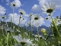 wakacje na farmie, farmy, wypoczynek, Austria, Wochy, Tyrol, w Tyrolu, Bolzano, atrakcje, oferta, farm